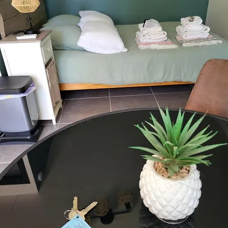 Hébergement de vacances A 30o M De La De Santa Giulia